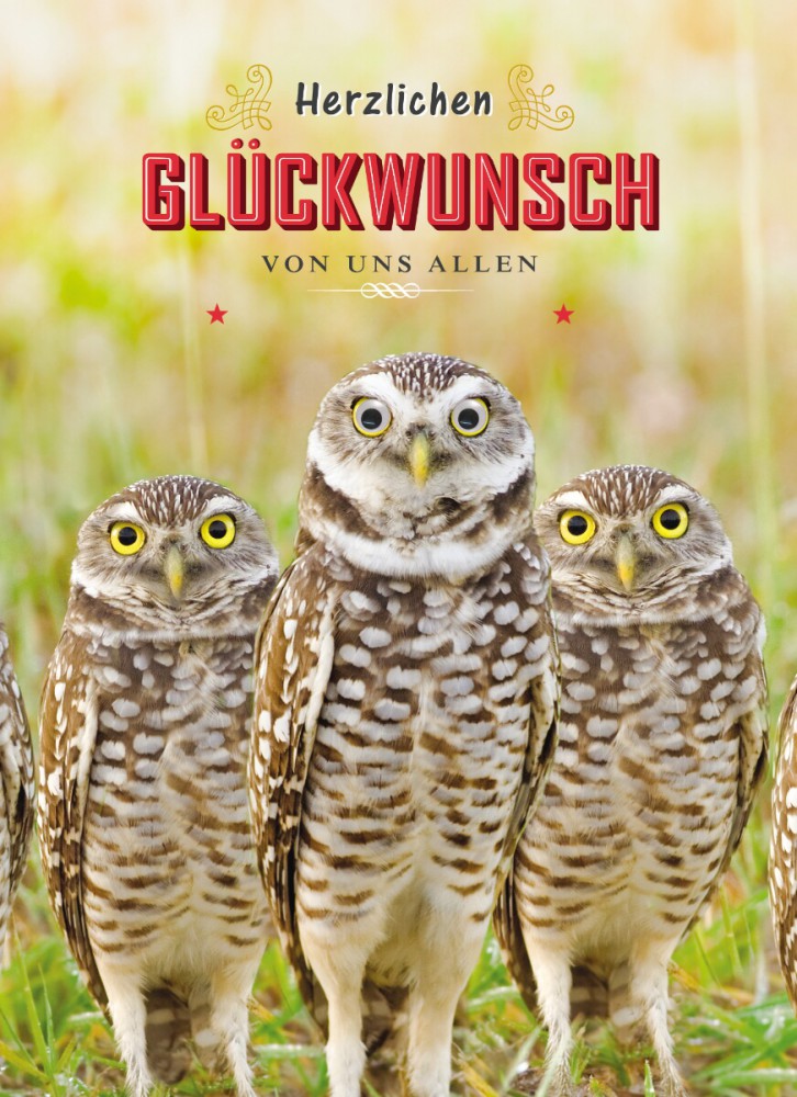 hochzeitstag vergessen entschuldigung geburtstag humor gru 223 karte googlies wackelaugen herzlichen hochzeitstag vergessen entschuldigung geburtstag humor gru 223 karte googlies wackelaugen herzlichen